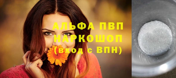 индика Белокуриха