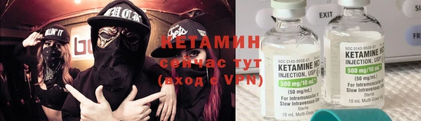 индика Белокуриха