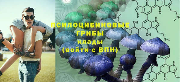 2c-b Бронницы