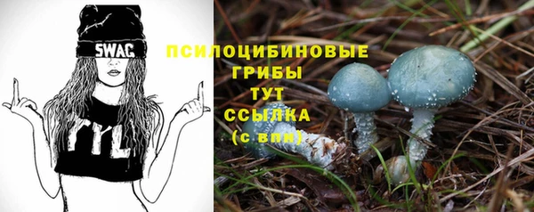 2c-b Бронницы